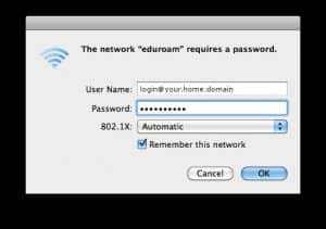 Image Showing Network Username and Password examples on iOS Device
