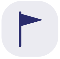 Purple flag representing initiative.