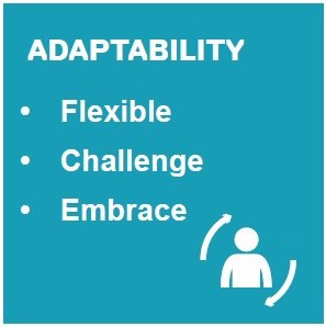 Graphic highlighting Adaptability with the words Flexible, Challenge and Embrace.