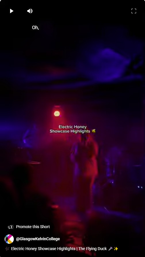 Performer on stage under moody purple and red lighting at the Electric Honey Showcase at The Flying Duck, with audience silhouettes in the foreground.